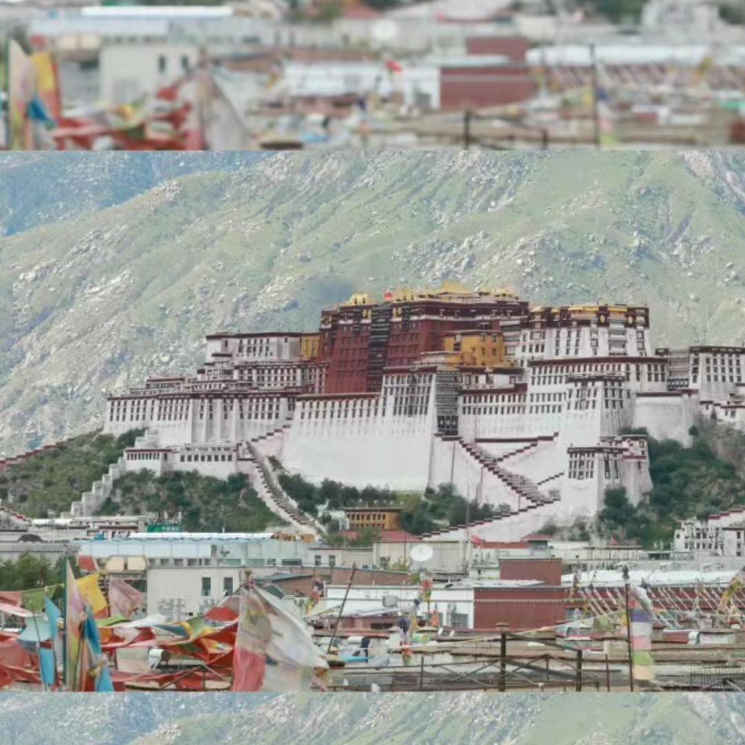 橘子味🍊的奶糖泡泡