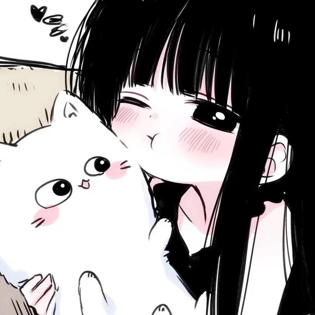 骑着史壳郎的貓