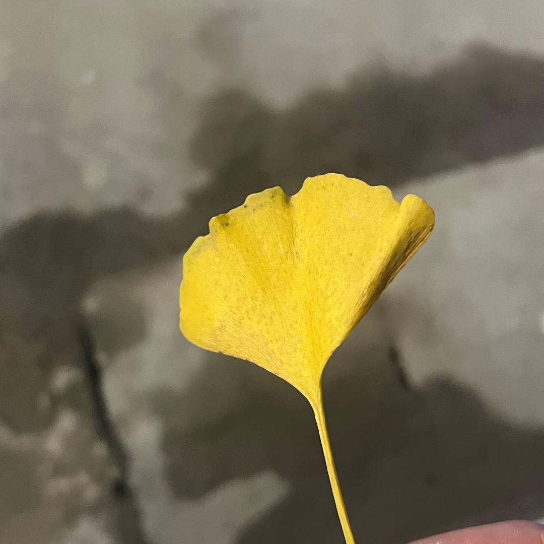 以雷霆击碎黑暗⚡️