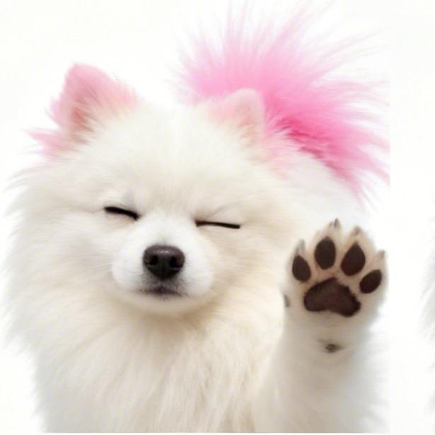 锦喻🐟护体᭨ᮩ໊ഒᩚ࿐