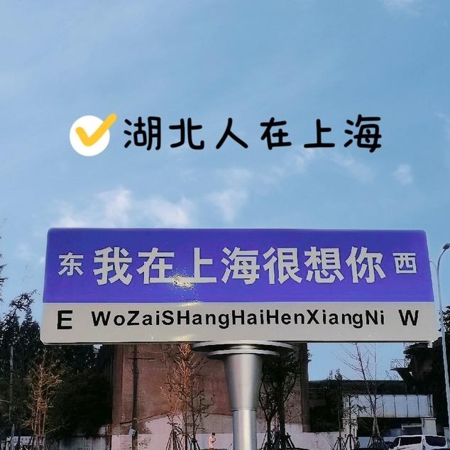 蔚微湖北人在上海