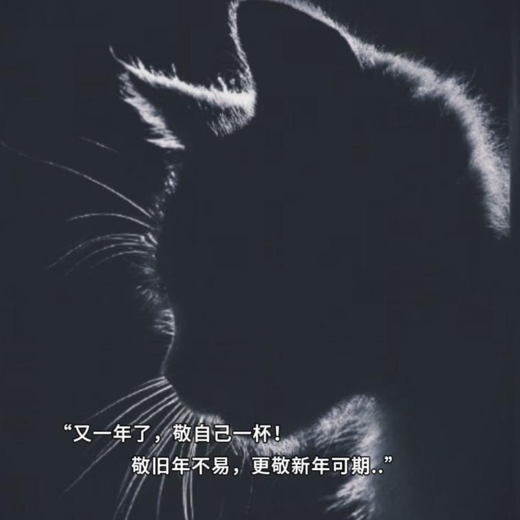 {黑仔🐱