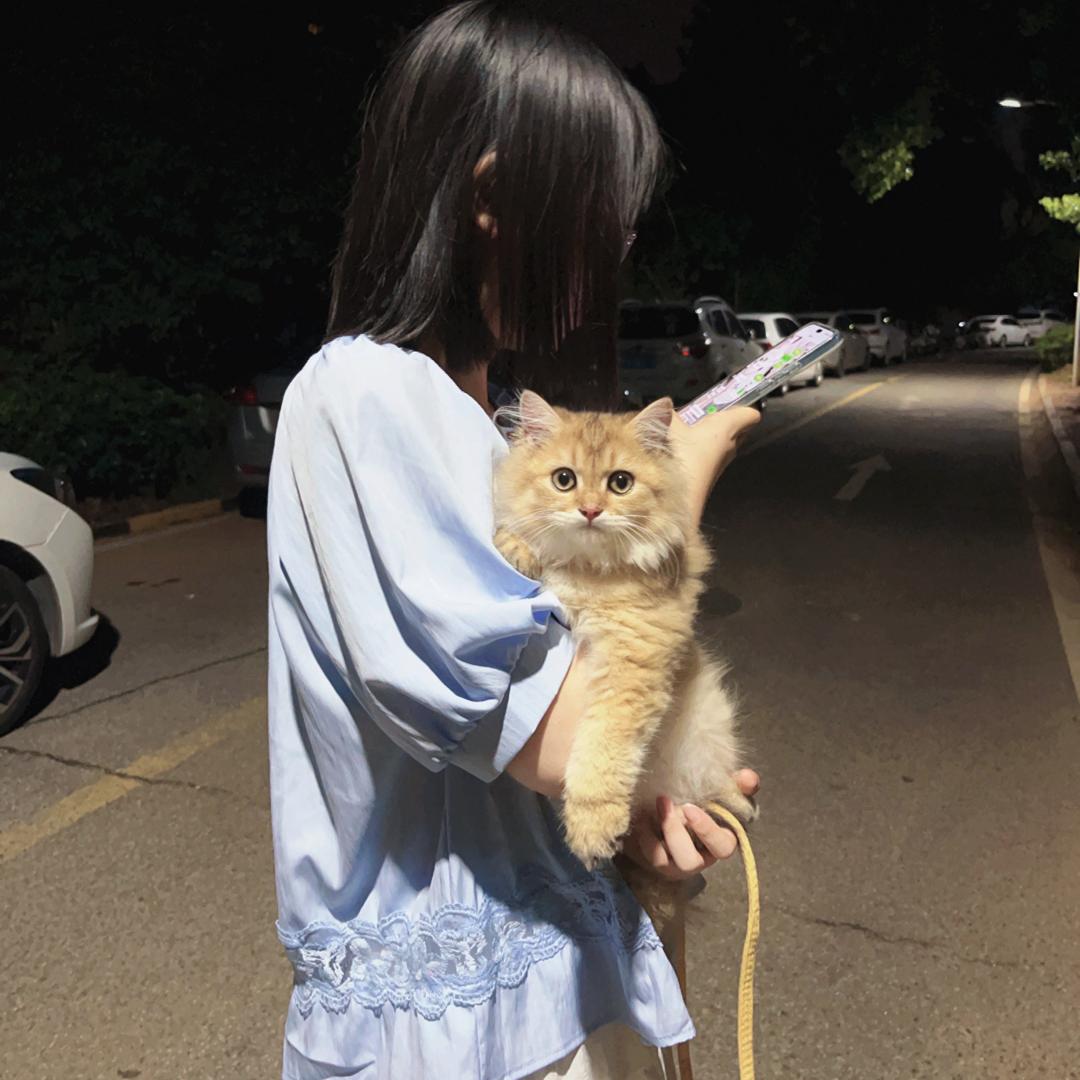 谜一样的小酒窝