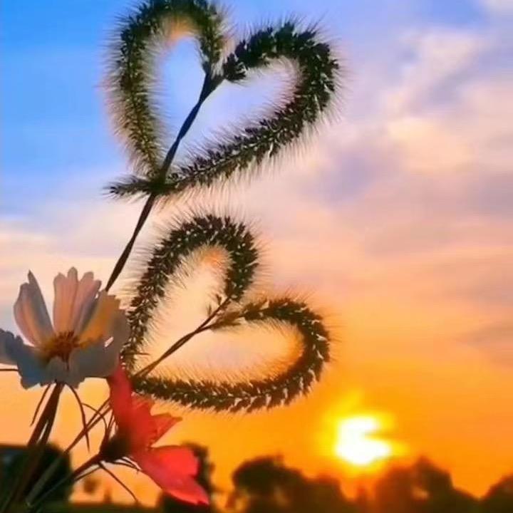 鄢陵三四五私房鲜饺馄饨