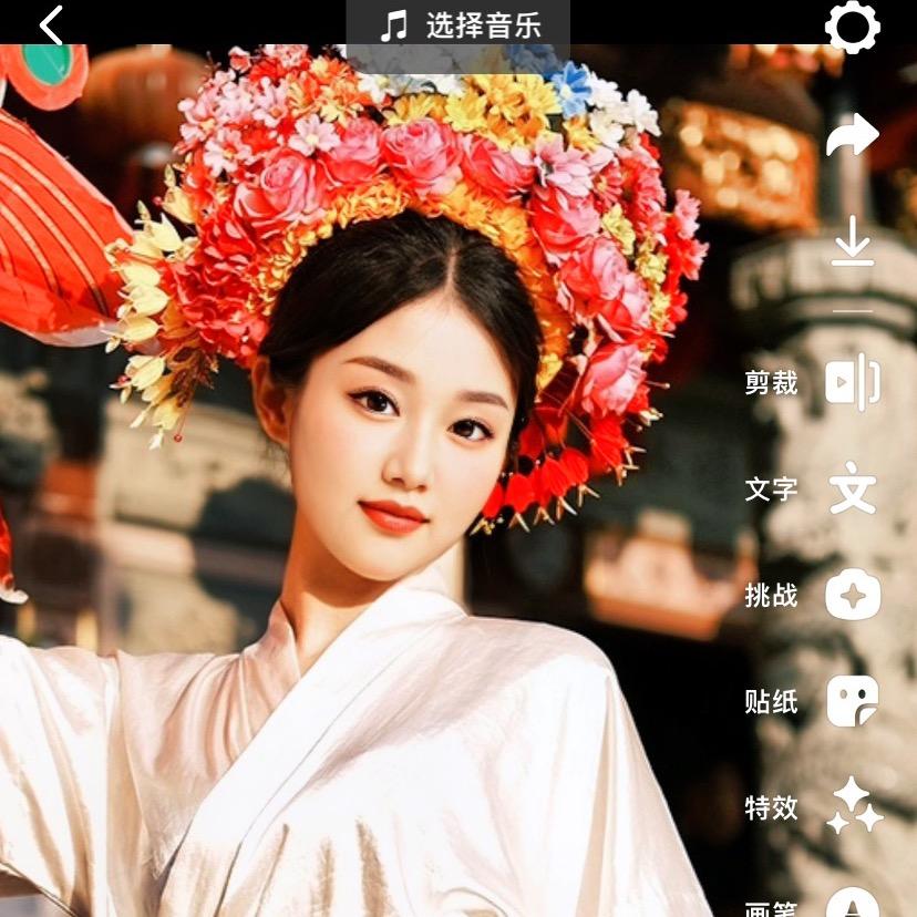 桐宝