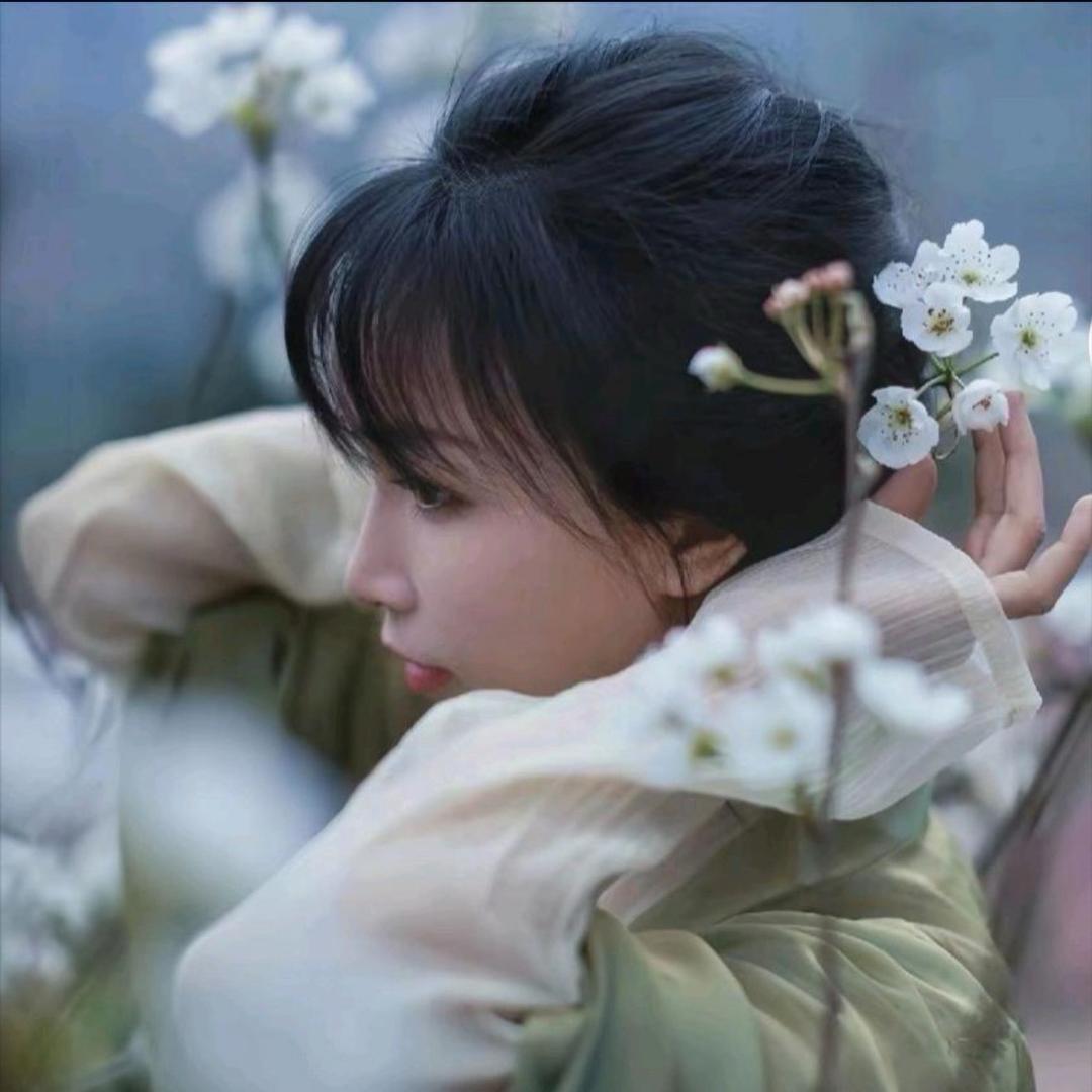 归柒