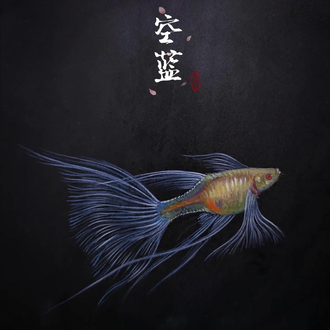 小小汪的养鱼日记