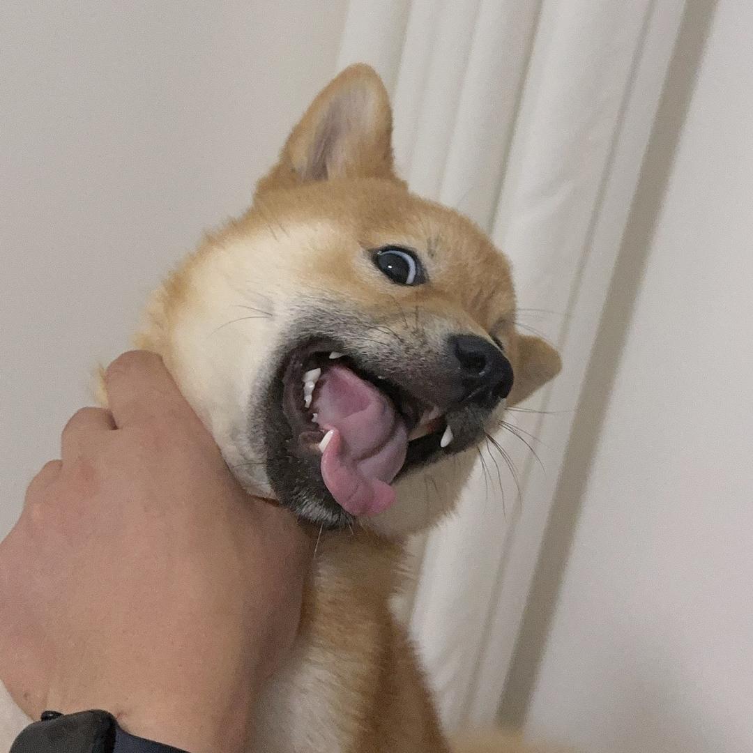 奔驰的刘留