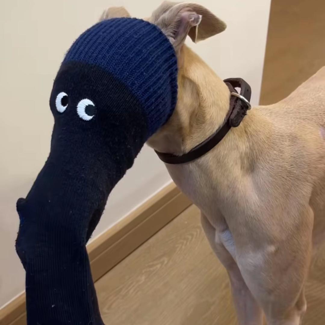 星星亮了一整晚