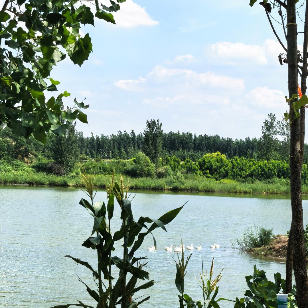 郑州市花园口南月堤村月牙湖生态垂钓园