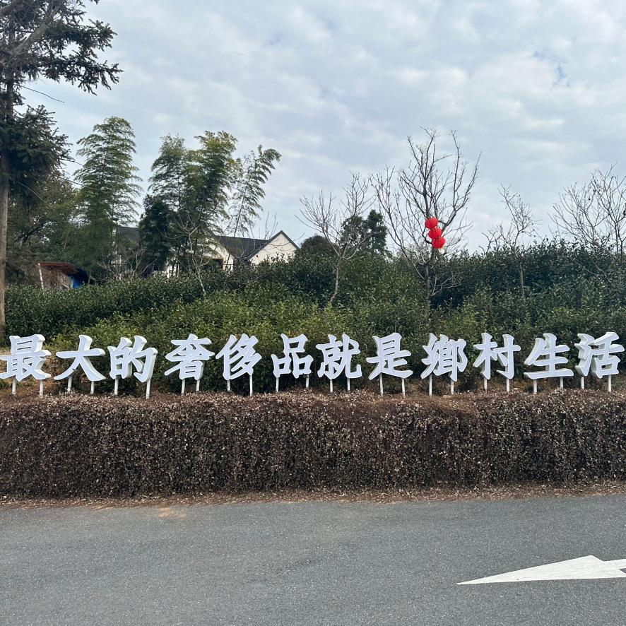 乡村运营