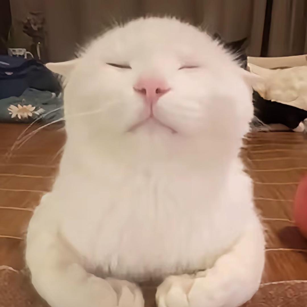 Dilahbdi