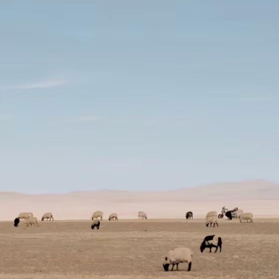 -蓝月不是蓝月亮