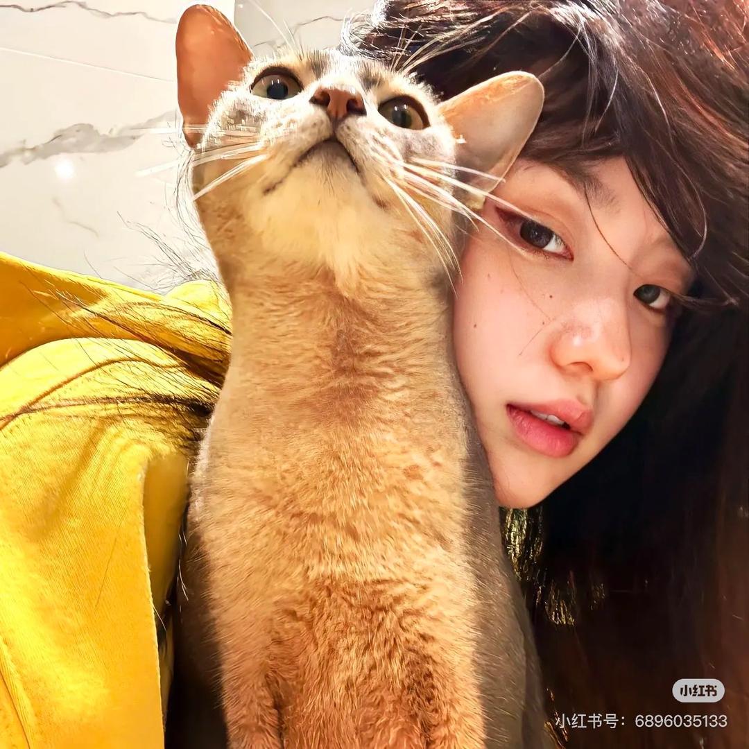 单眼皮饼干老板🍪