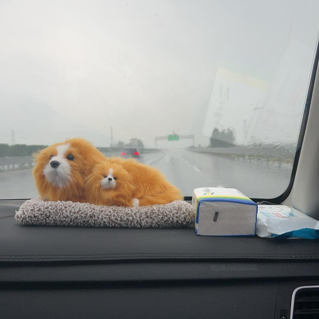 海洋之心的故事