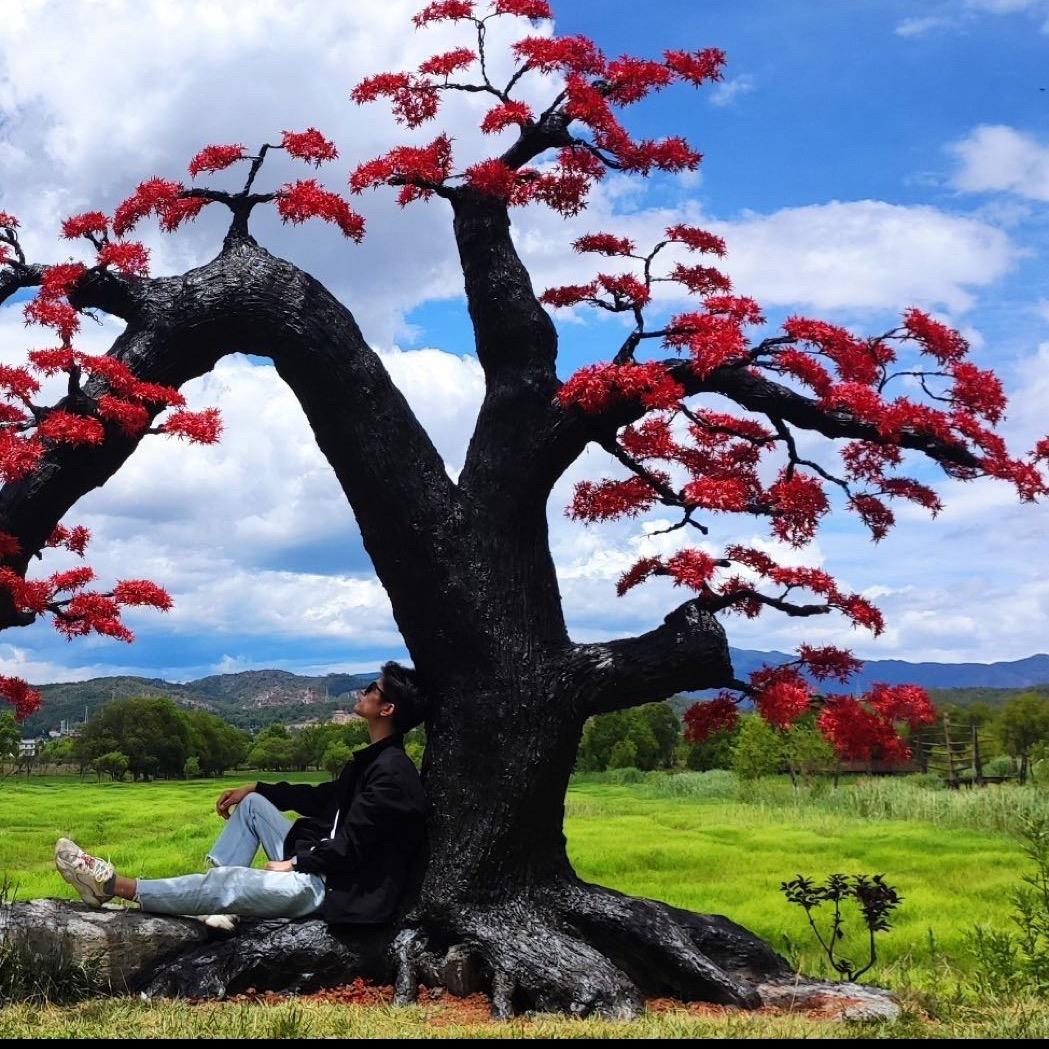 卖茯苓的硕士和茯苓的故事