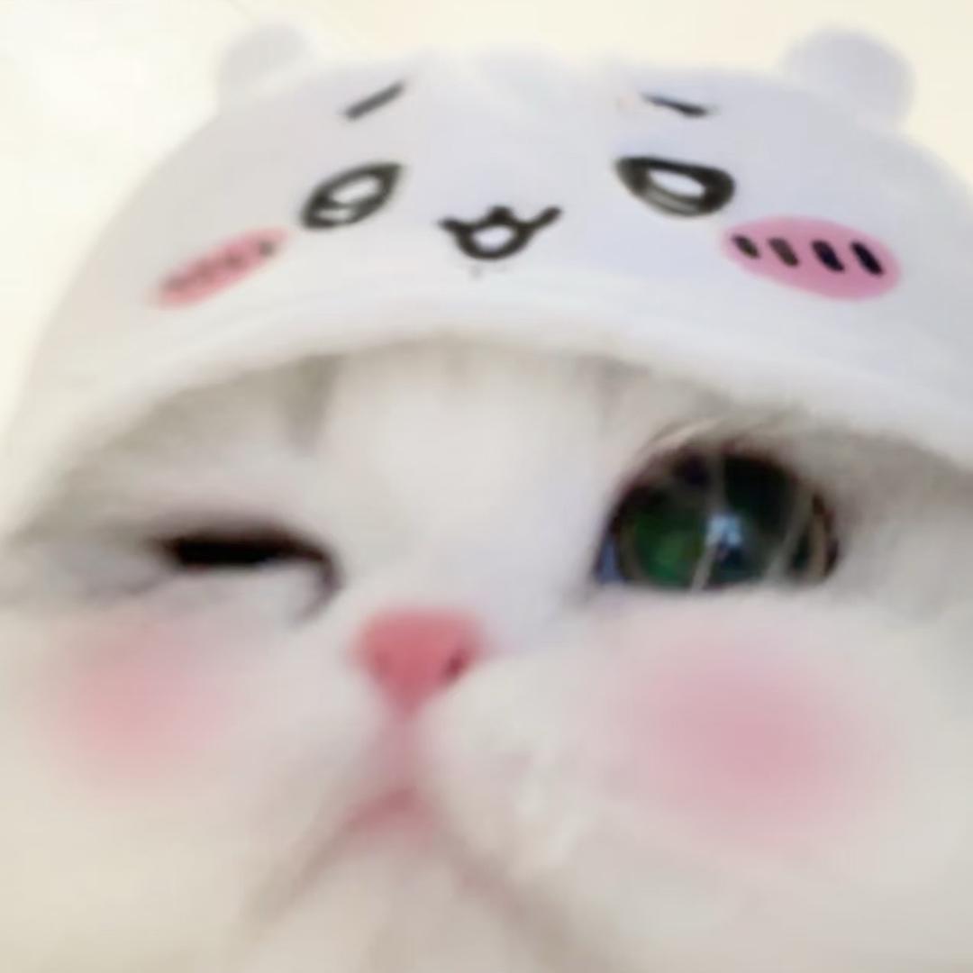 琳-lIN