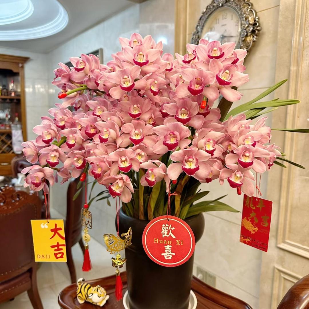 大Xi啦啦啦啦