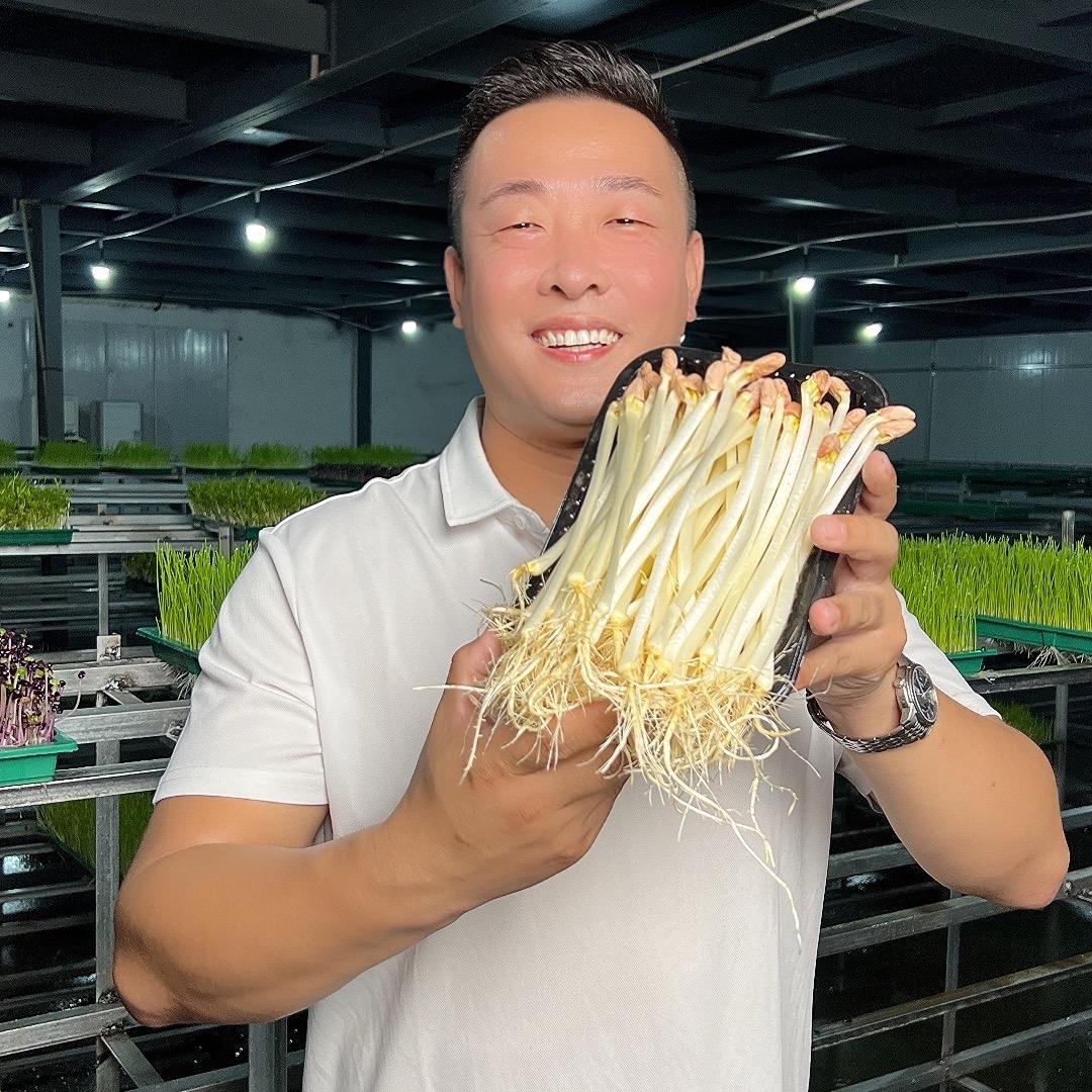 赵班长花生芽3号