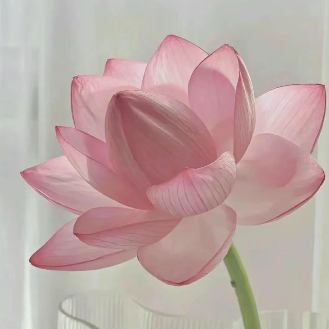 都市累人🧚🏻‍♀️