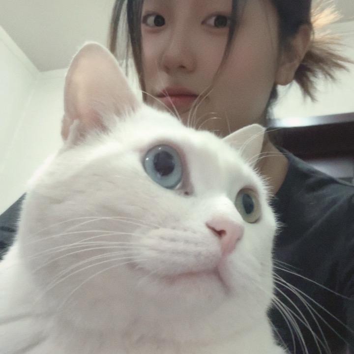 少7一点8🤐