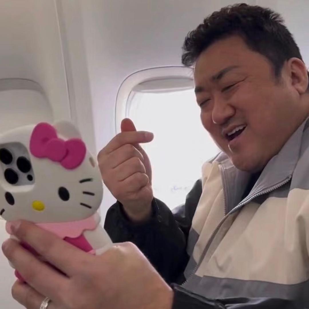 悲伤的猪大肠