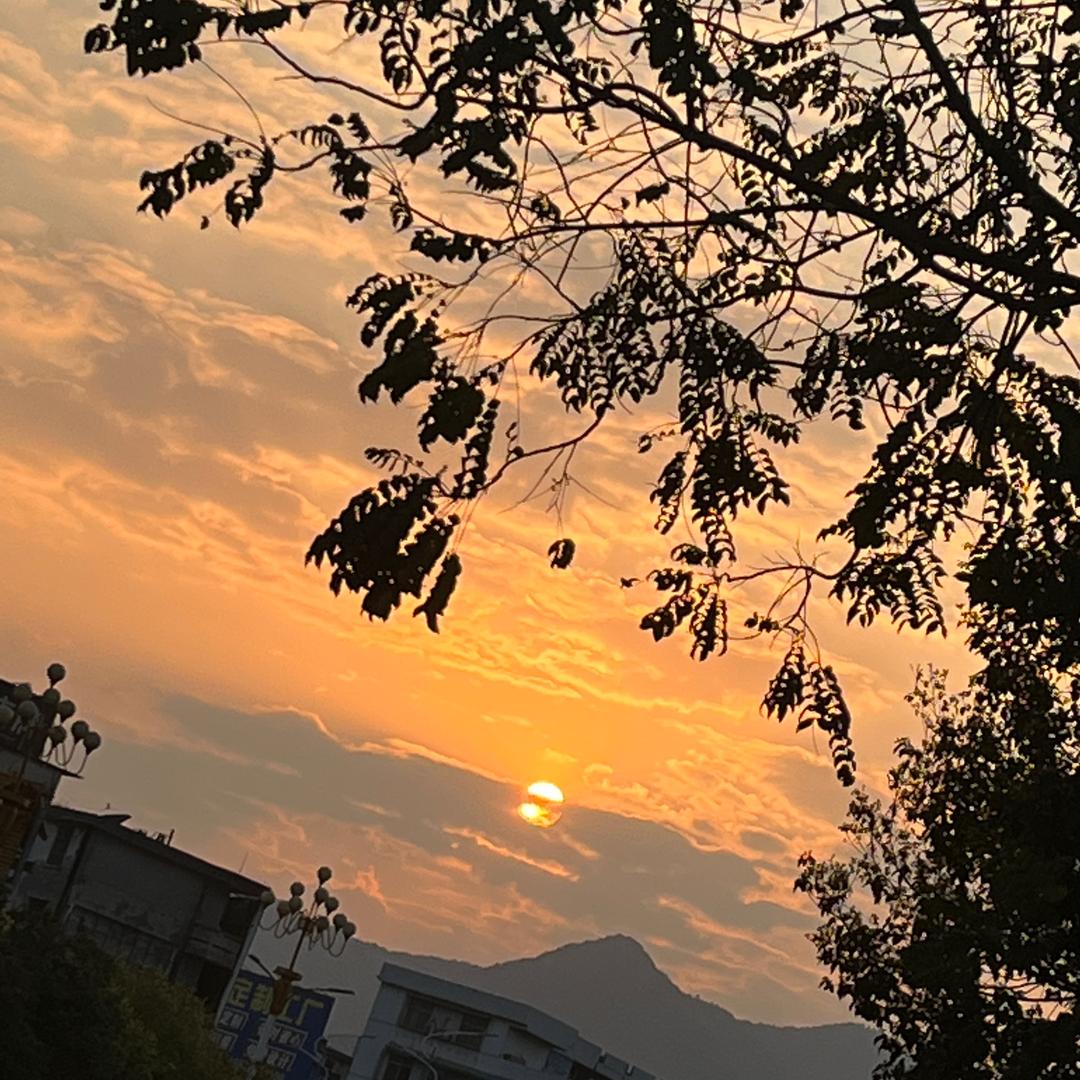 张十八。