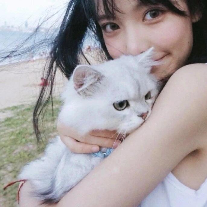 小奶猫。