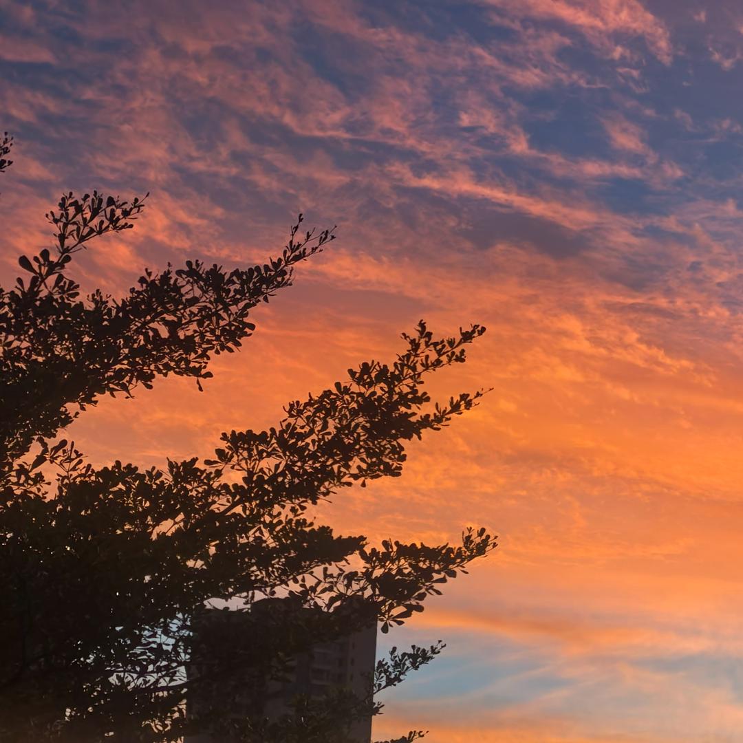 风已起，爱已不在