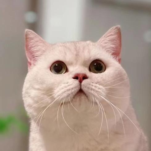 卡扣嗦猫