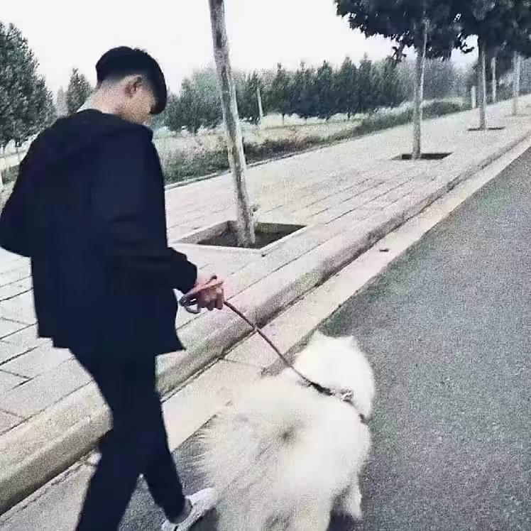 小嘟嘟