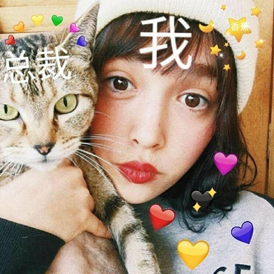 我与总裁🐱