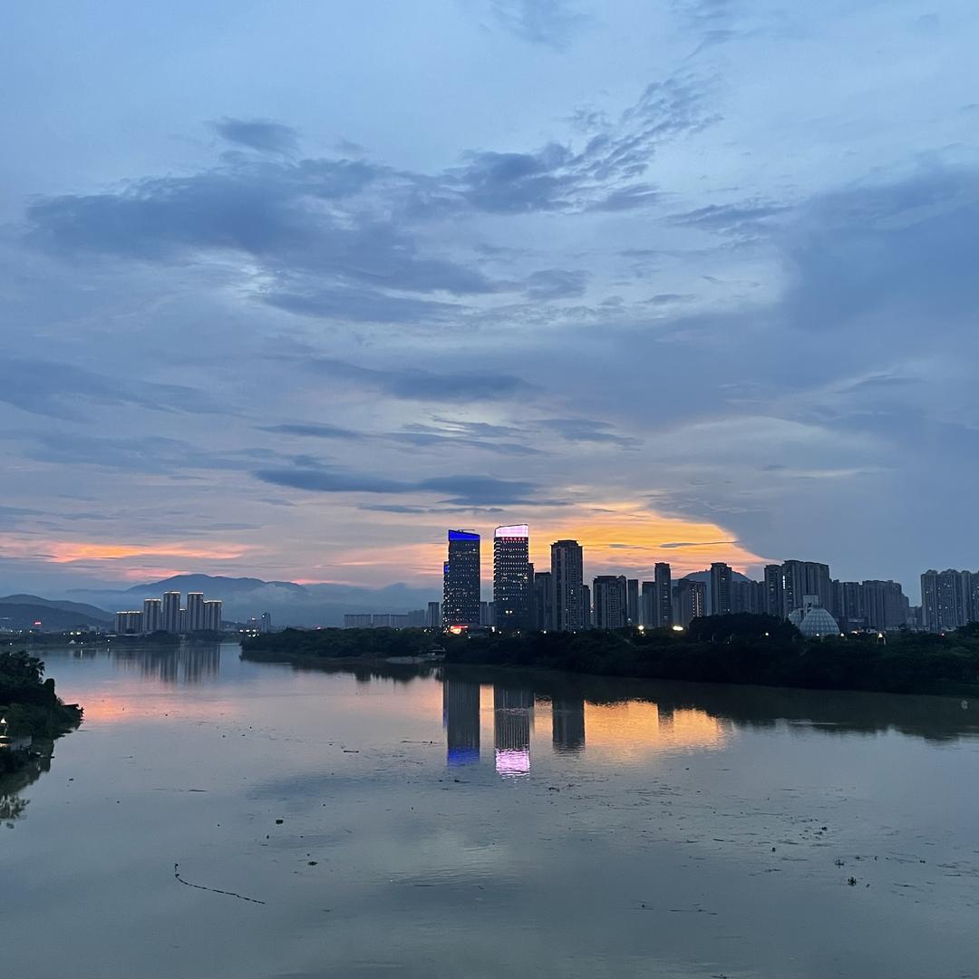 咪多宠物用品店