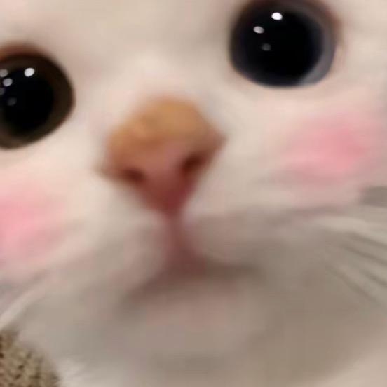 紫啧