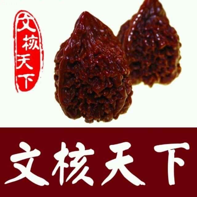 文核天下