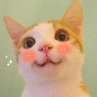 佳