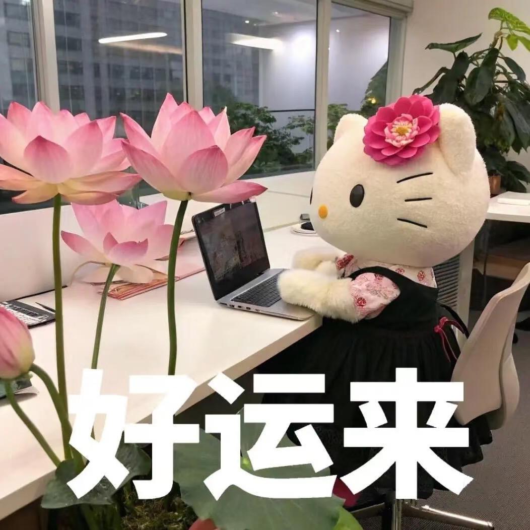 萍果儿