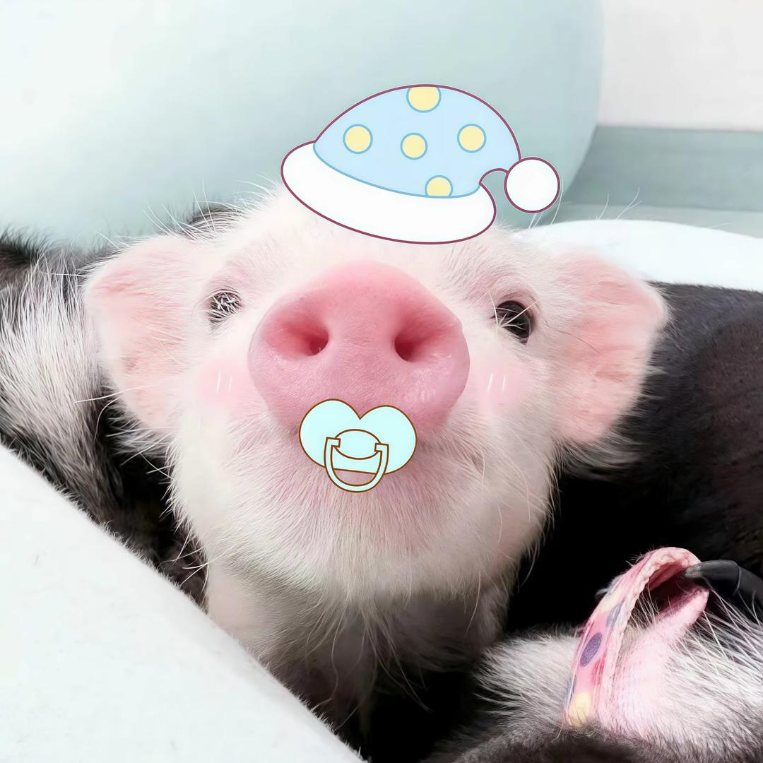 总发呆
