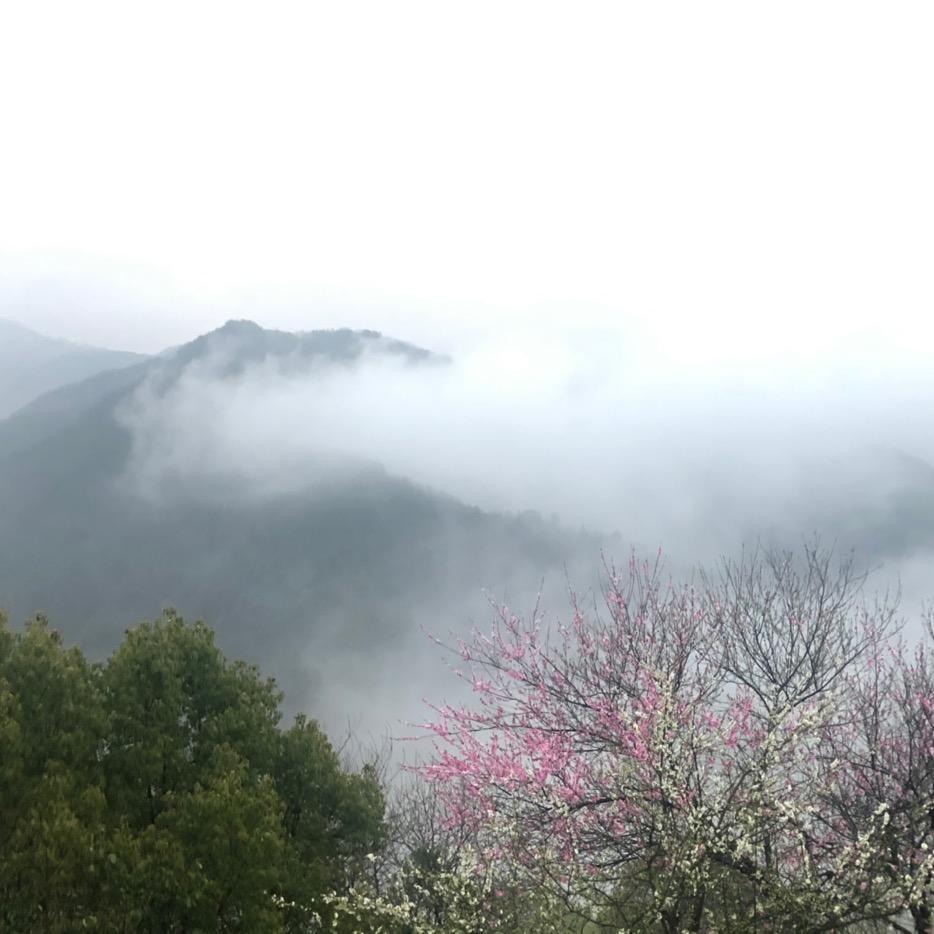 ❤️在👕橱里✨