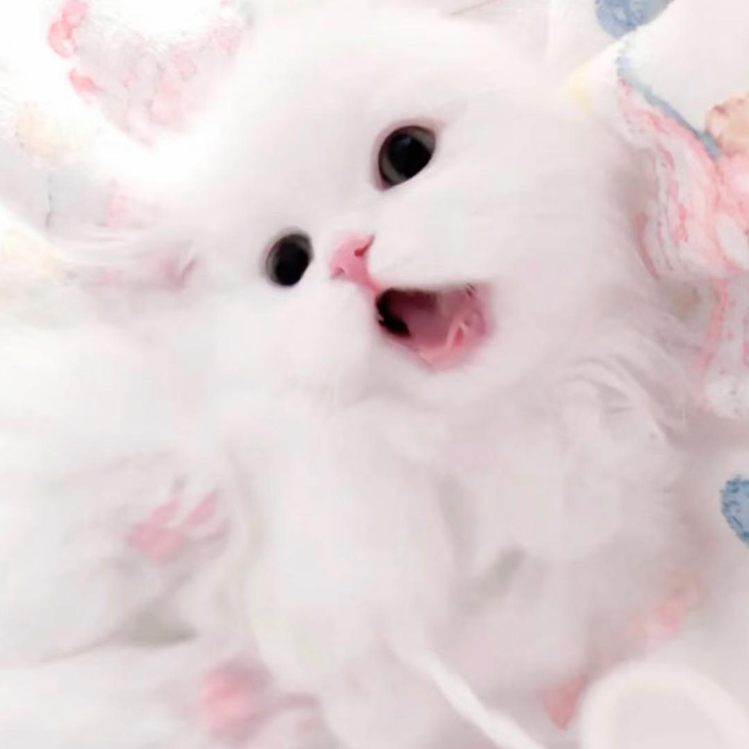 哭也可爱