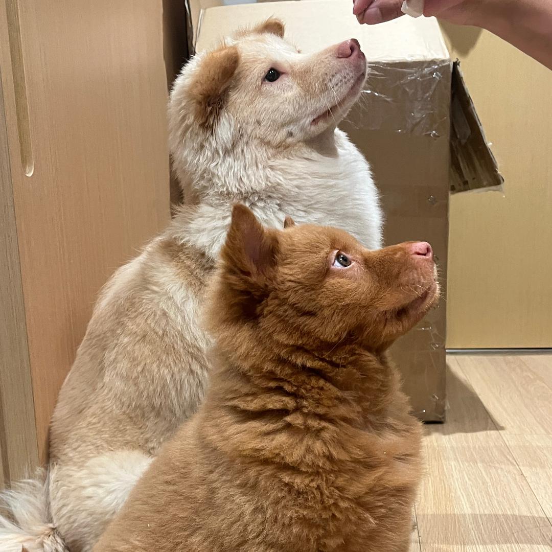 李李和姜姜的日常