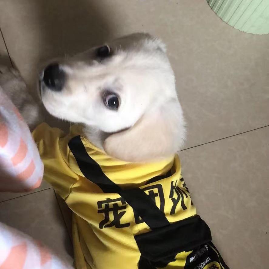 👑终究会走
