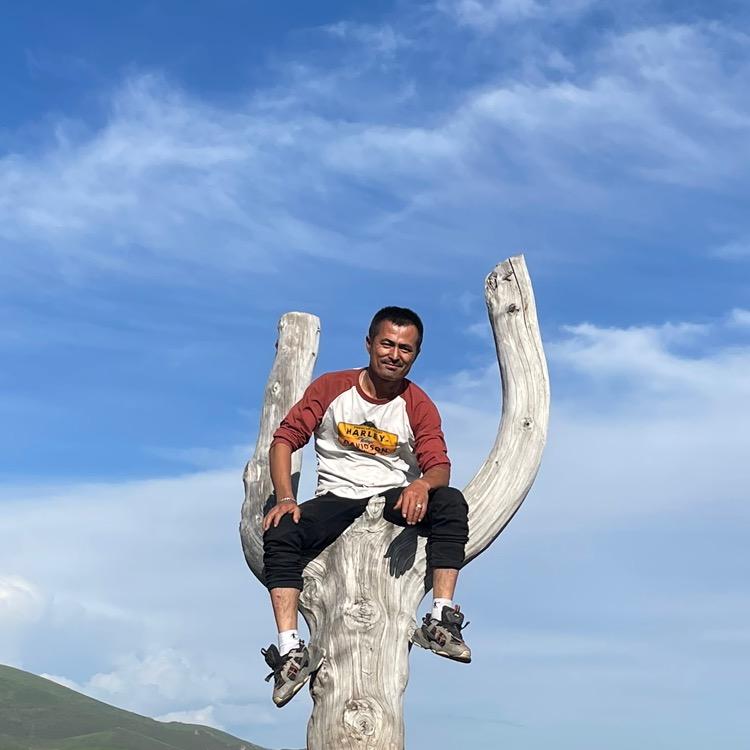 远方来客——旅行顾问小木