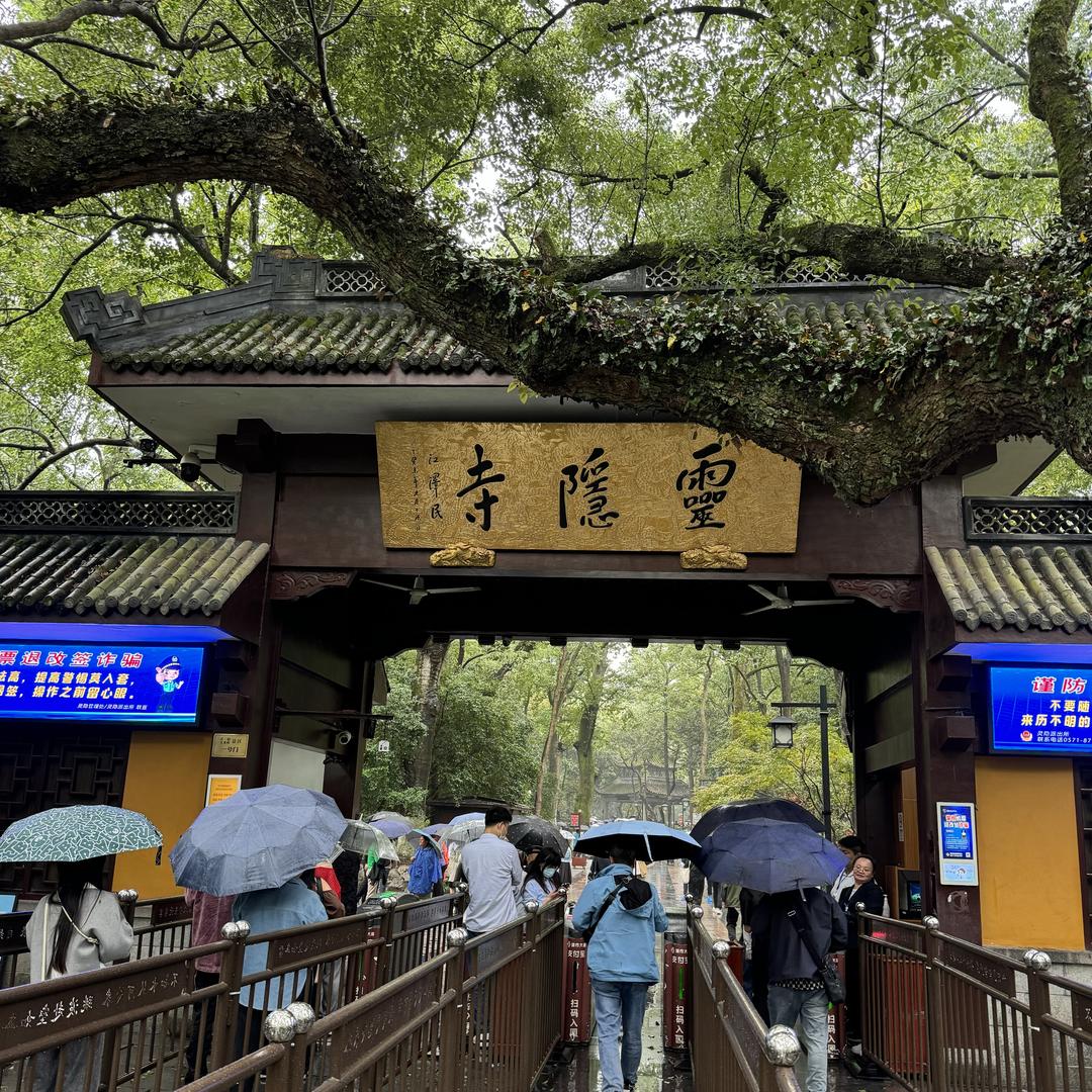 杨坤玩收藏