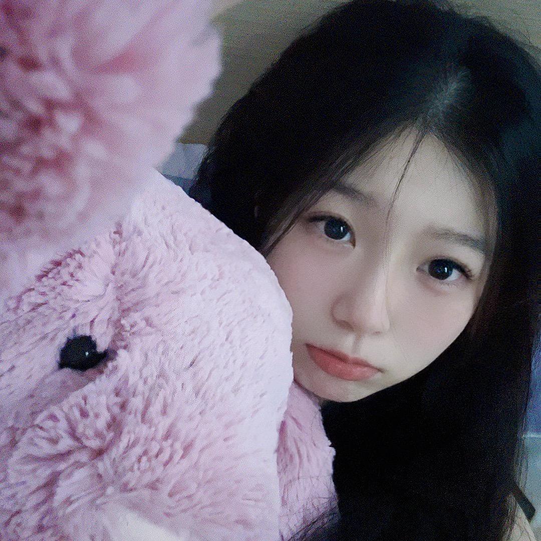 zjx小绵羊🐑