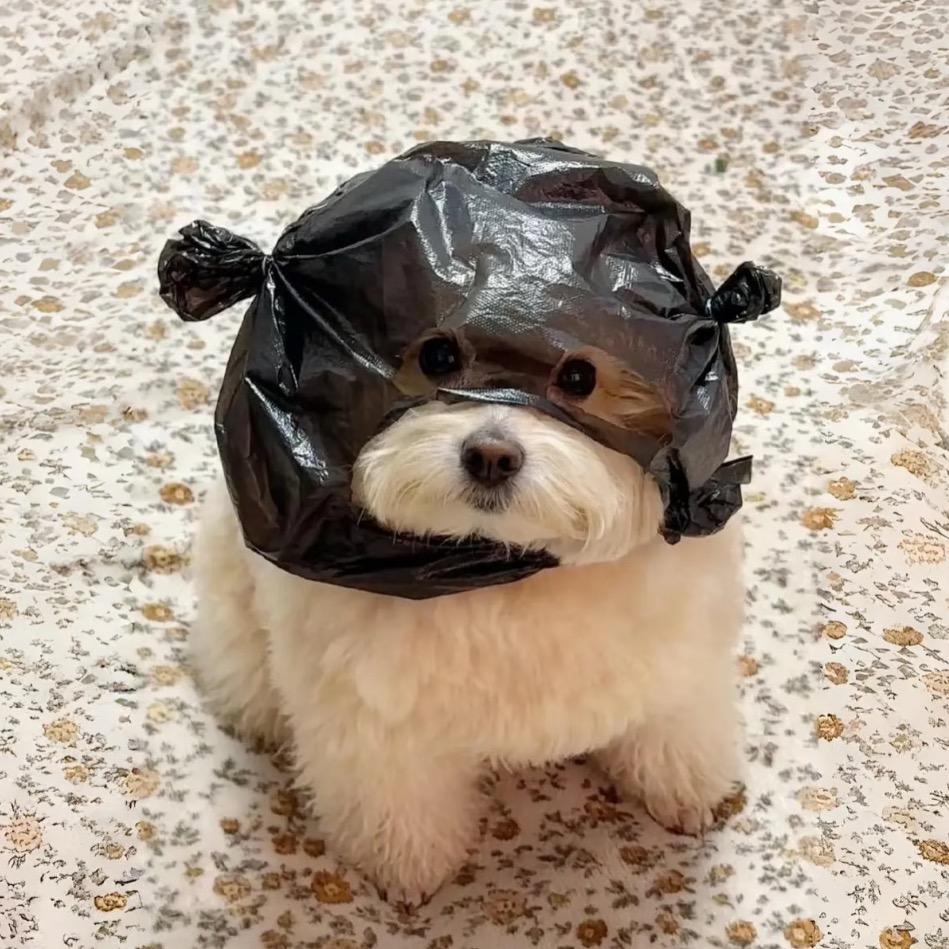 小泽绵绵冰