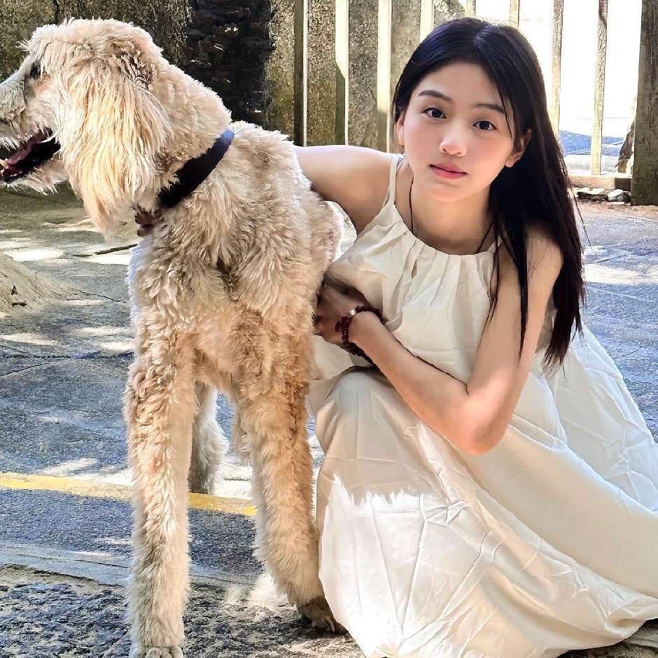 小蚊子