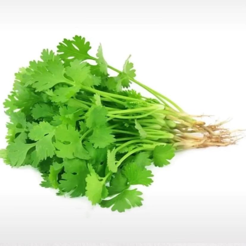 一米八的香菜