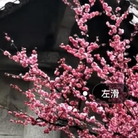 叁生有幸