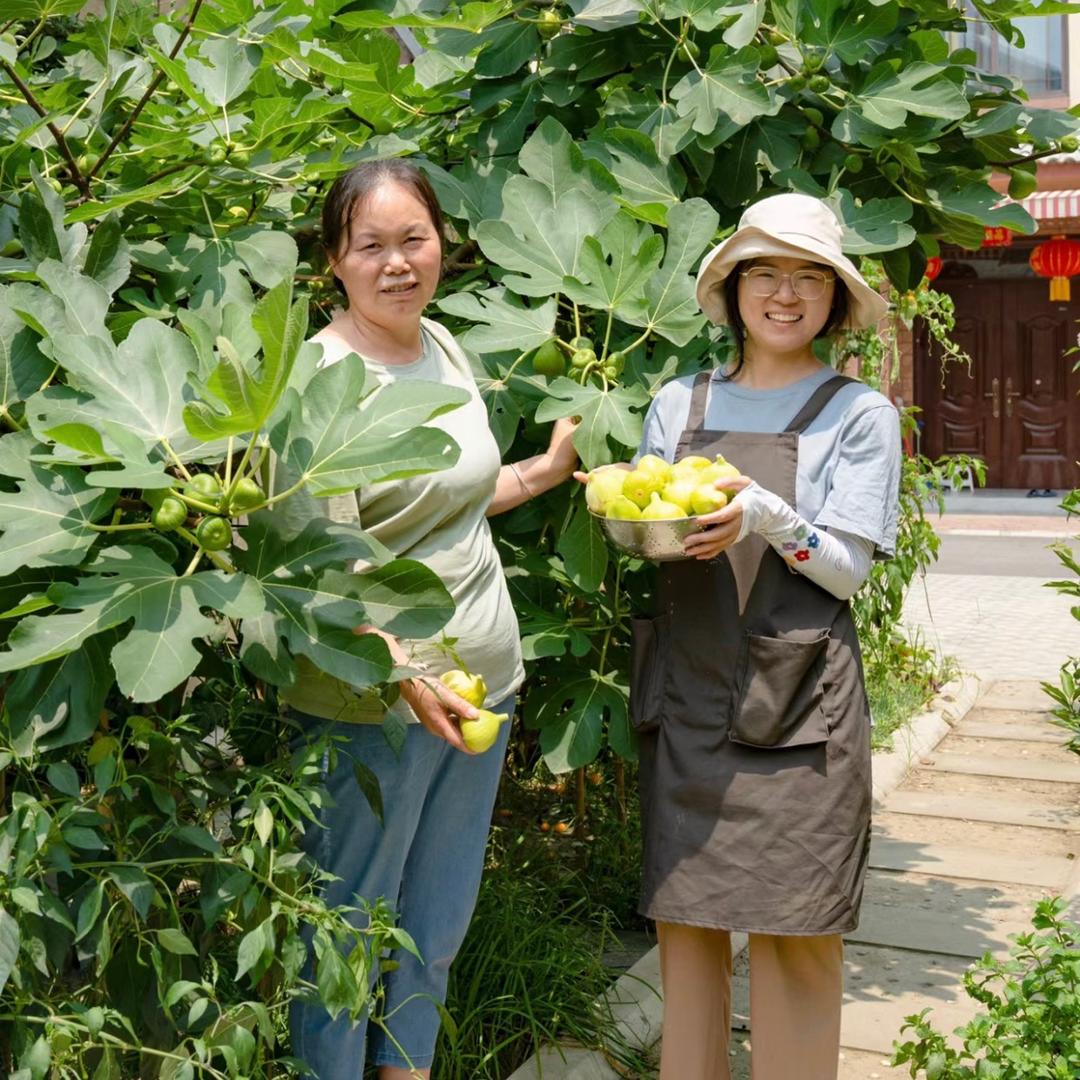 小鑫果树种植
